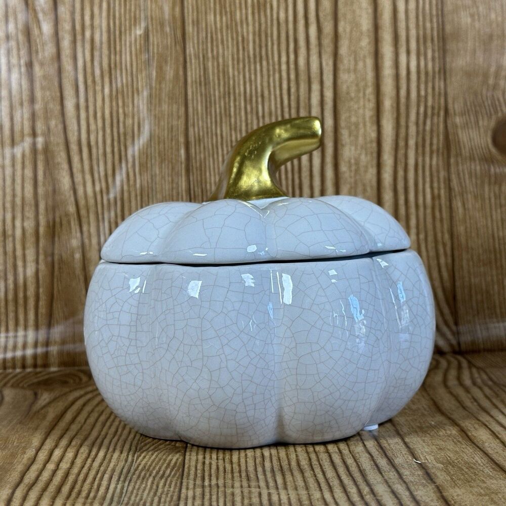 Ceramic Pumpkin Decorative Bowl‎ with Lid White  6”